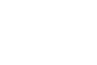 Ferrari Estate